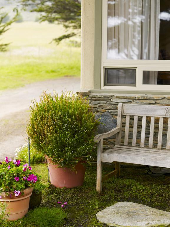 Moonstone Cottages Cambria Εξωτερικό φωτογραφία